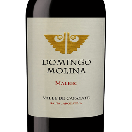 DOMINGO MOLINA Malbec 2019. Argentina (Salta)