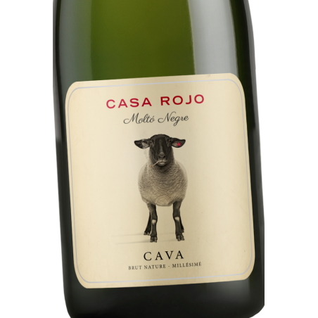 Cava Moltó Negre Brut Nature Millesimé 2024 de Casa Rojo