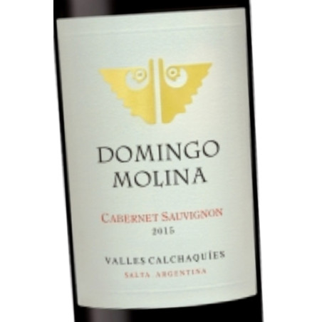 DOMINGO MOLINA Malbec 2019. Argentina (Salta)