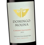 DOMINGO MOLINA Malbec 2019. Argentina (Salta)
